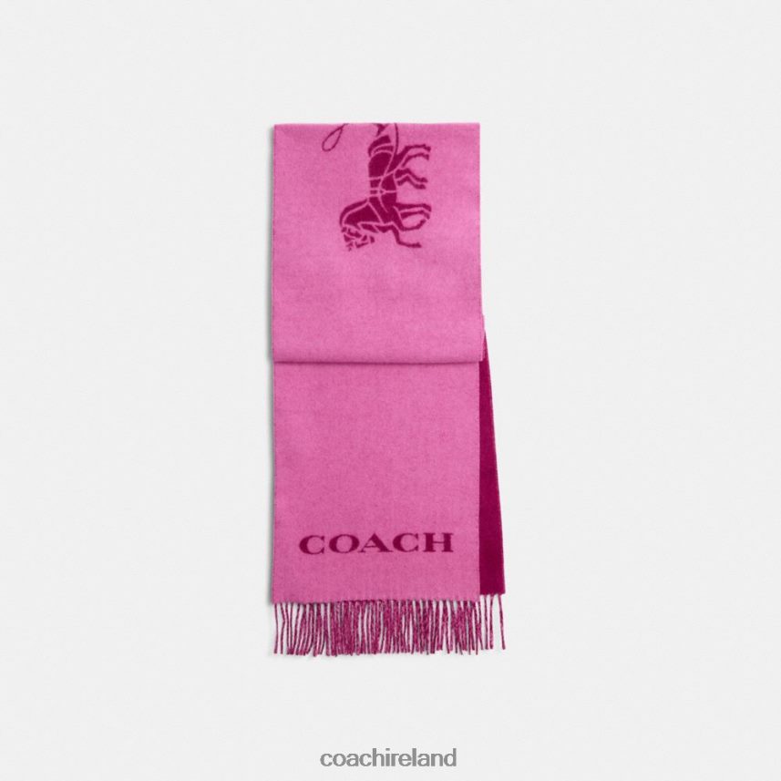 Coach Women HORSE AND CARRIAGE CASHMERE MUFFLER DEEP PLUM 80N2R2575