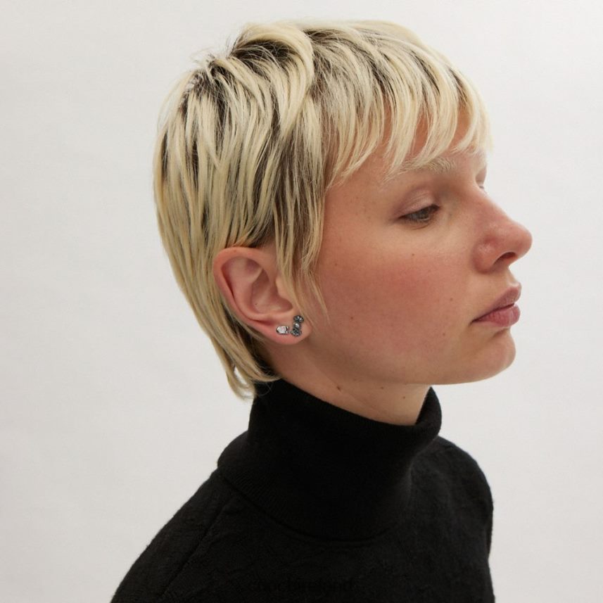 Coach Women CANDY AND BOW STUD EARRINGS SET Hematite Multi 80N2R2538