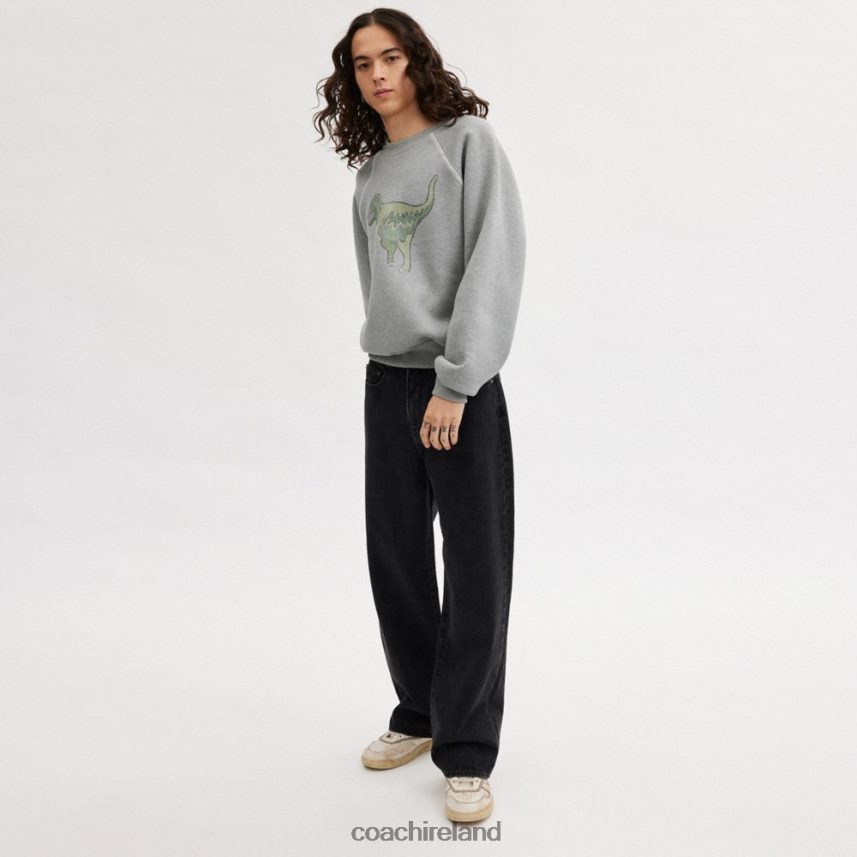 Coach Women REXY CREWNECK SWEATSHIRT Gray 80N2R2483