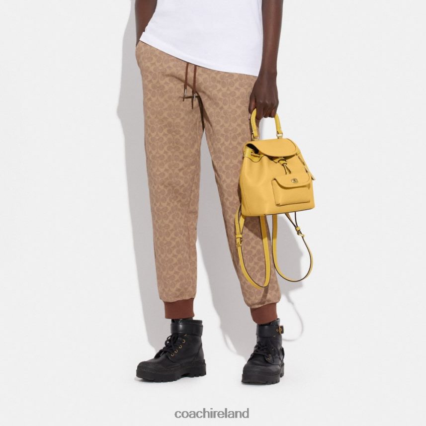 Coach Women RIYA BACKPACK 21 B4/Hay 80N2R261